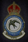 RAAF Academy crest as it appeared on your personal treasured horseblanket